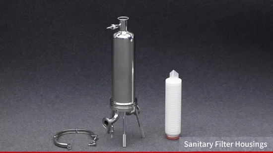 Stainless Steel 316L Sanitary Filter Housing with Tri-Clamp Connection, Electropolishing, Ra≤ 0.4um, 222/226 Adapters